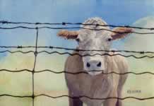 Gazing Longingly through the fence